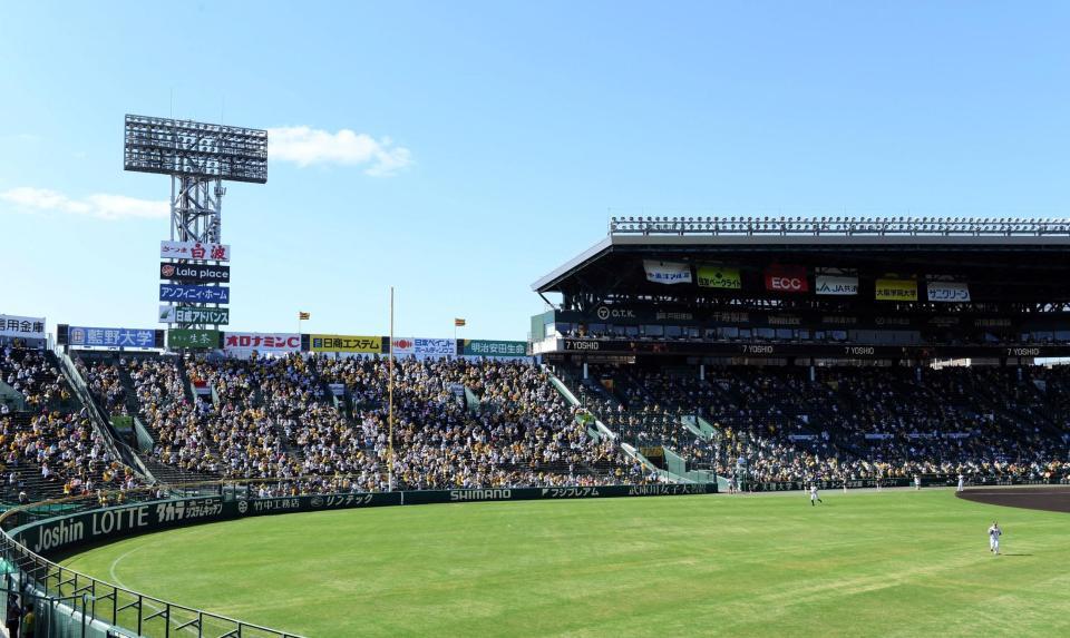 アルプス席にも観客が入った阪神対ＤｅＮＡ戦＝甲子園（撮影・山口登）