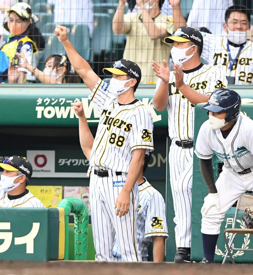 ８回、糸井の勝ち越し二塁打にベンチでガッツポーズする矢野監督（撮影・飯室逸平）