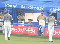 ６回、スクイズ失敗にベンチ奥で厳しい表情の矢野監督＝神宮球場（撮影・堀内翔）