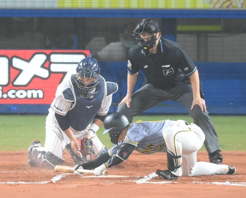 ６回、スクイズ失敗に終わる坂本＝（撮影・堀内翔）