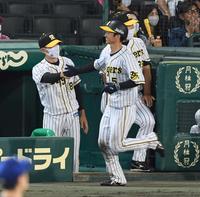 ６回、近本を迎える阪神・矢野監督＝甲子園（撮影・飯室逸平）