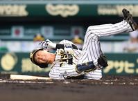 　３回、死球を受け苦悶する阪神・近本＝甲子園（撮影・飯室逸平）