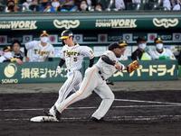 　８回、阪神・近本はセーフティーバントを決め、巨人の守備が乱れ追加点を挙げる（撮影・山口登）