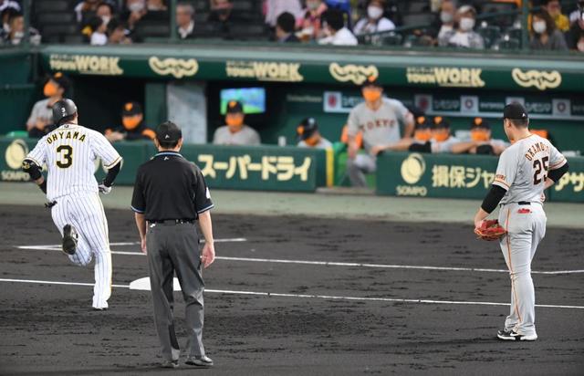 阪神・大山が先制の２３号ソロ　バース以来の本塁打王へ　巨人・岡本と１差接近
