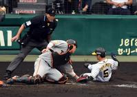 ５回、阪神・近本は本塁を狙うもアウトになる（撮影・山口登）