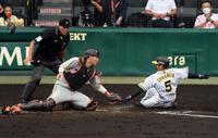 ５回、阪神・近本は本塁を狙うもアウトになる（撮影・山口登）