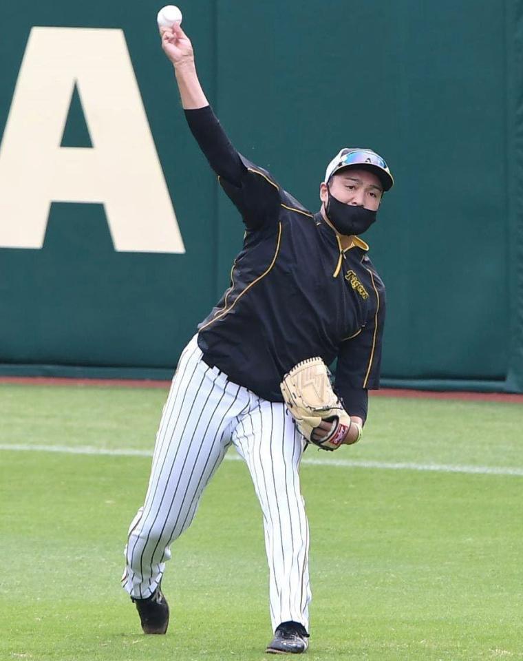 キャッチボールで調整する阪神・秋山（撮影・北村雅宏）