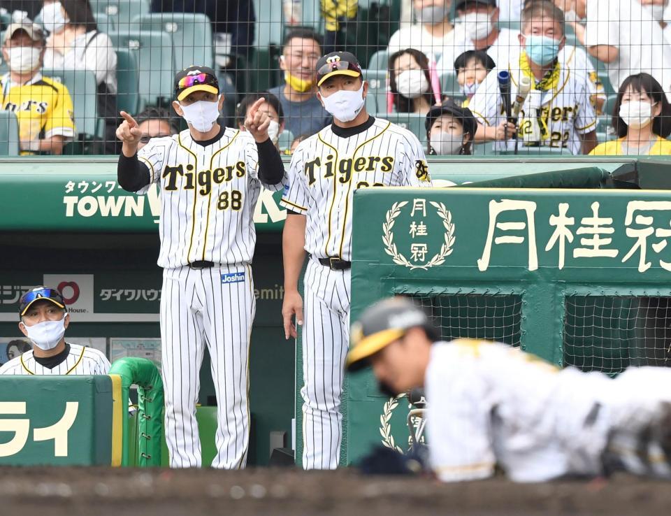 ５回、阪神・近本の本塁死をめぐりリクエストする矢野監督（撮影・飯室逸平）