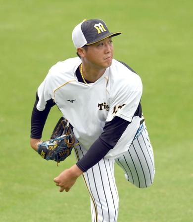 キャッチボールする阪神・横山雄哉＝甲子園（撮影・山口登）