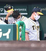 　ベンチで頭をかく矢野監督　