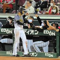 ６回、同点のホームを踏み、ナインの祝福を受ける阪神・小幡＝マツダスタジアム（撮影・高部洋祐）