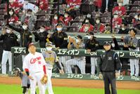 ８回、阪神・原口の同点打にわき上がる阪神・矢野監督（左から２人目）ら阪神ベンチ（撮影・高部洋祐）