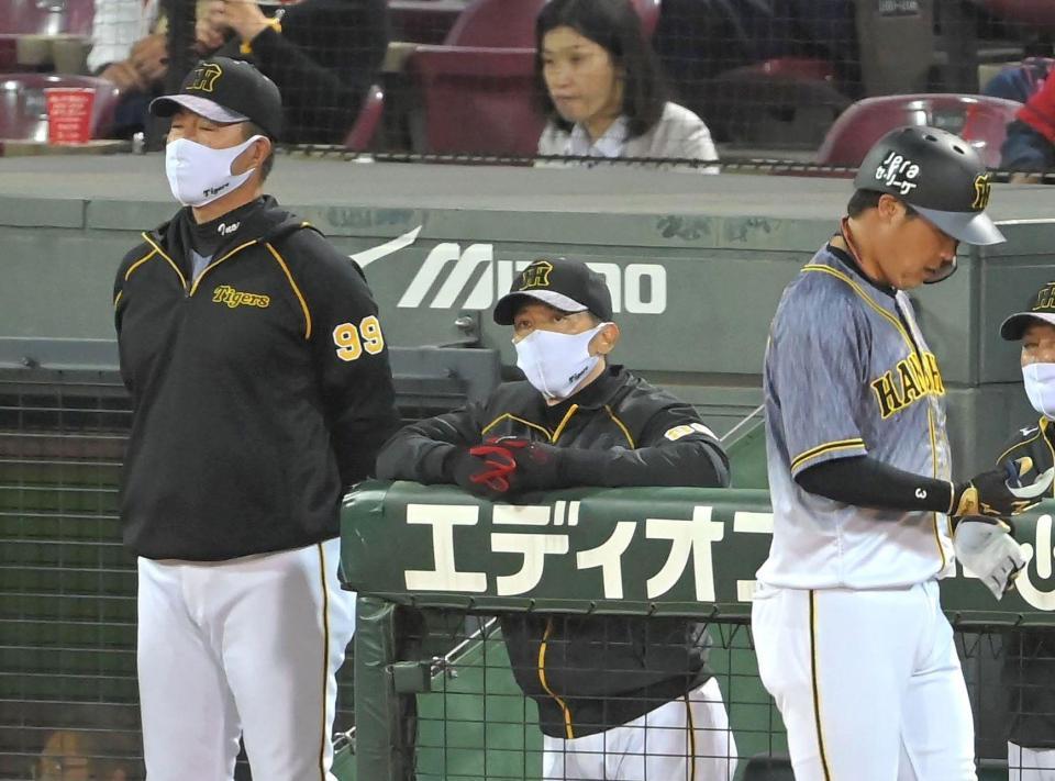 ７回、ベンチから戦況を見守る矢野監督（中央）