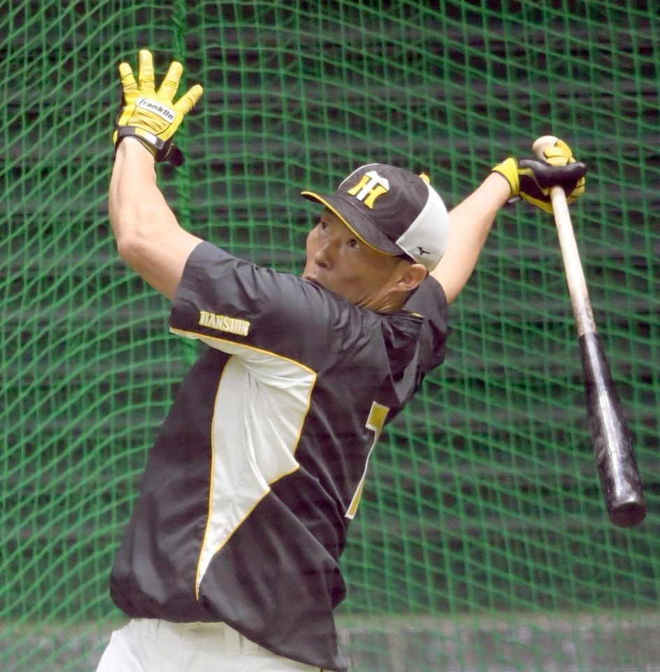 打撃練習をする阪神・糸井＝マツダスタジアム（撮影・田中太一）