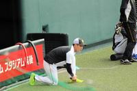 アップを行う阪神・木浪