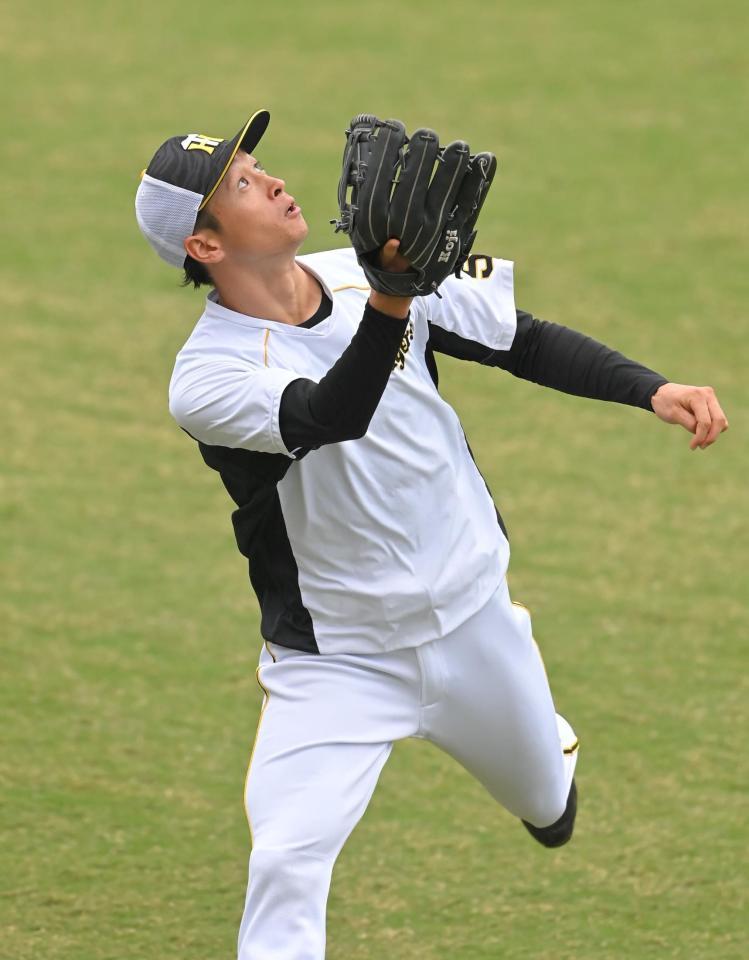 　試合前、外野ノックの飛球を追う近本