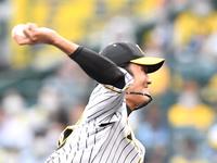 　８回、力投する阪神・藤浪（撮影・飯室逸平）