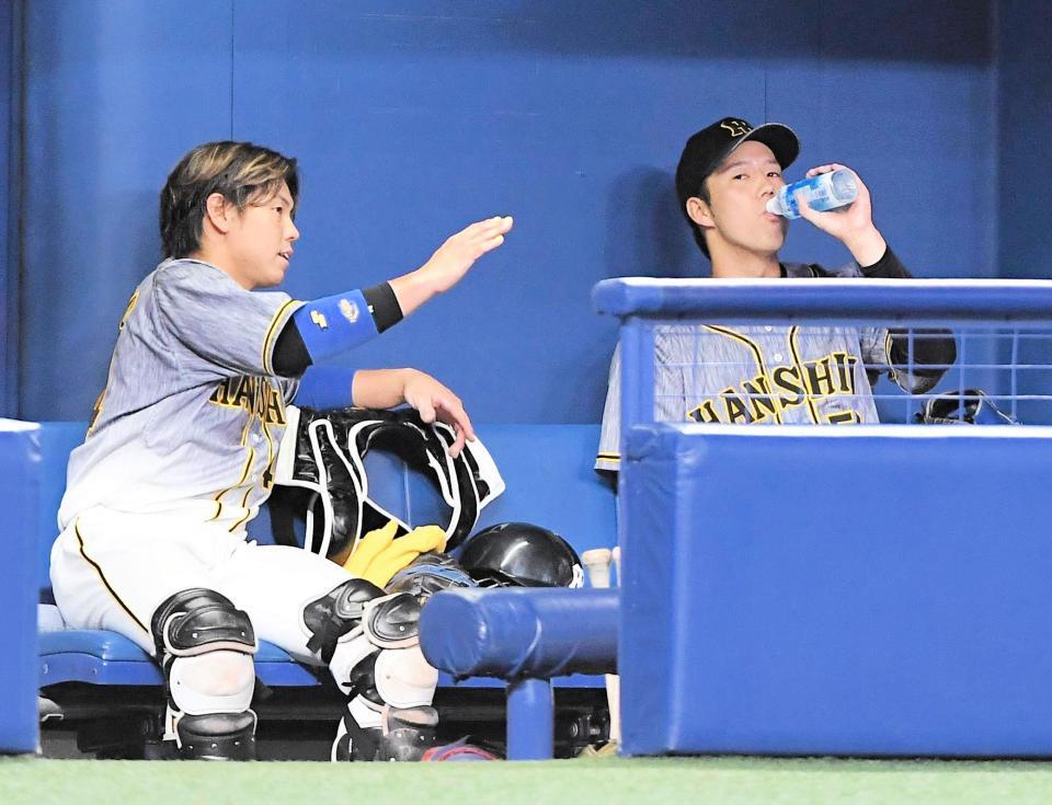 ６回を投げ終え、梅野（左）と話す阪神・青柳＝ナゴヤドーム（撮影・北村雅宏）