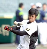 １軍に合流した阪神・板山（撮影・山口登）