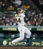 ４回１死一・三塁、阪神・梅野隆太郎は左翼線に先制適時二塁打を放つ＝甲子園（撮影・山口登）