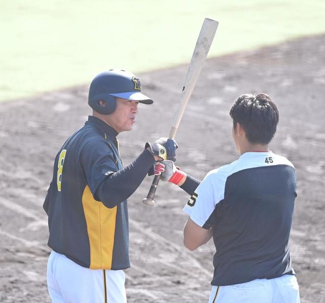 来季構想外の阪神・福留は５番ＤＨで先発　２軍オリックス戦