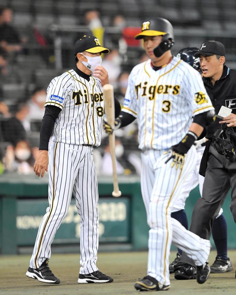 　８回、空振り三振に倒れた大山（手前）がベンチに戻る中、選手交代を告げに行く矢野監督（左）＝撮影・北村雅宏