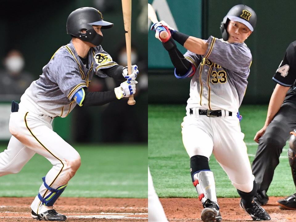 　阪神・近本（左）と糸原