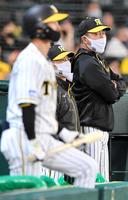 ８回、攻撃を見守る阪神・矢野監督（中央）＝甲子園（撮影・北村雅宏）