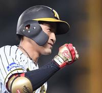 ２回、先制ソロを放った阪神・木浪はガッツポーズをしながら本塁へ走る＝甲子園（撮影・田中太一）