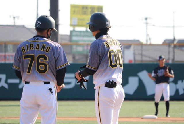 阪神２軍　上本は攻守でらしさ発揮「頑張ります」１１・１が虎ラストか