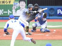 ５回、送りバントを失敗する阪神・高橋＝横浜（撮影・金田祐二）