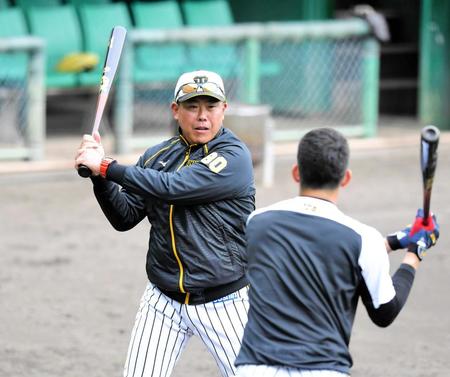 　今春のキャンプで若手選手を指導する北川コーチ＝２月３日、安芸