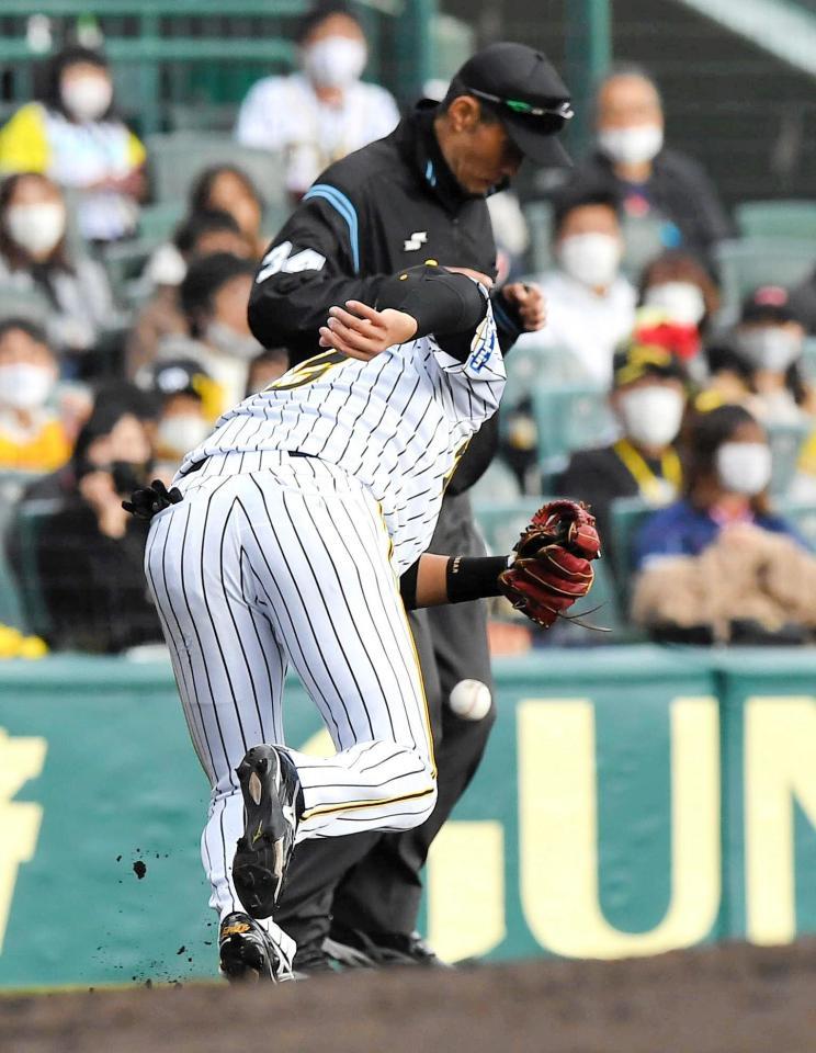 ２回、ヤクルト・藤井亮太の放った打球をはじいた阪神・大山悠輔（手前）だが、ボールが三塁塁審に当たり、内野安打となる（撮影・北村雅宏）