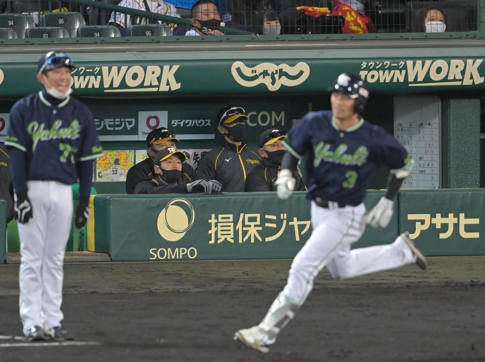 延長10回、ヤクルト・西浦直亨（右手前）の勝ち越し３ランを見つめる阪神・矢野燿大監督（中央奥）＝甲子園（撮影・高部洋祐）