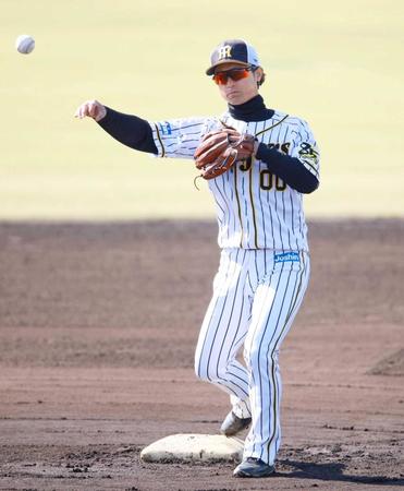 　さらばタテジマ－。鳴尾浜で最後のノックを受ける上本（撮影・坂部計介）