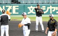 早出特守を受ける阪神・熊谷敬宥（右から２人目）ら＝甲子園（撮影・北村雅宏）