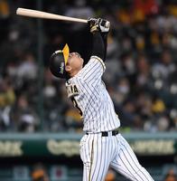 ３回、捕邪飛に倒れる阪神・大山＝甲子園（撮影・田中太一）