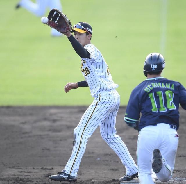 阪神・小幡が“人生初めて”一塁守備　フェニックス・リーグでチャレンジと収穫