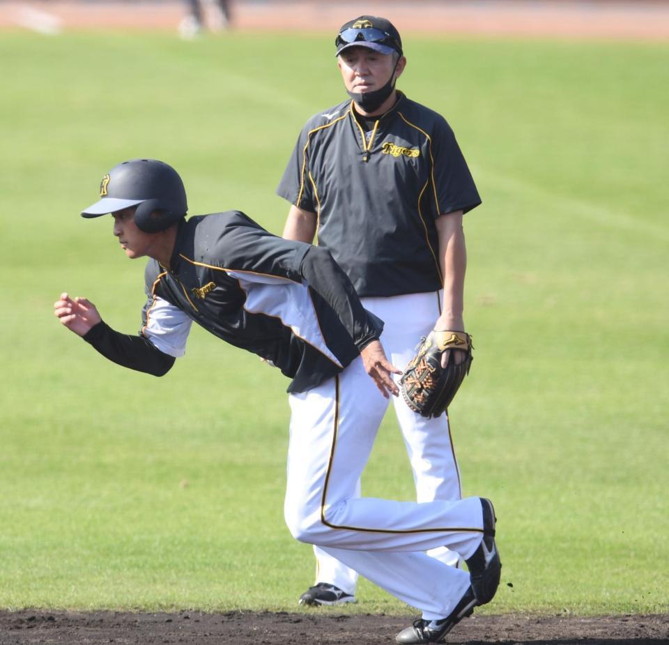 阪神・奥山皓太の走塁を見る阪神・清水雅治ヘッドコーチ＝宮崎・アイビースタジアム（撮影・田中太一）