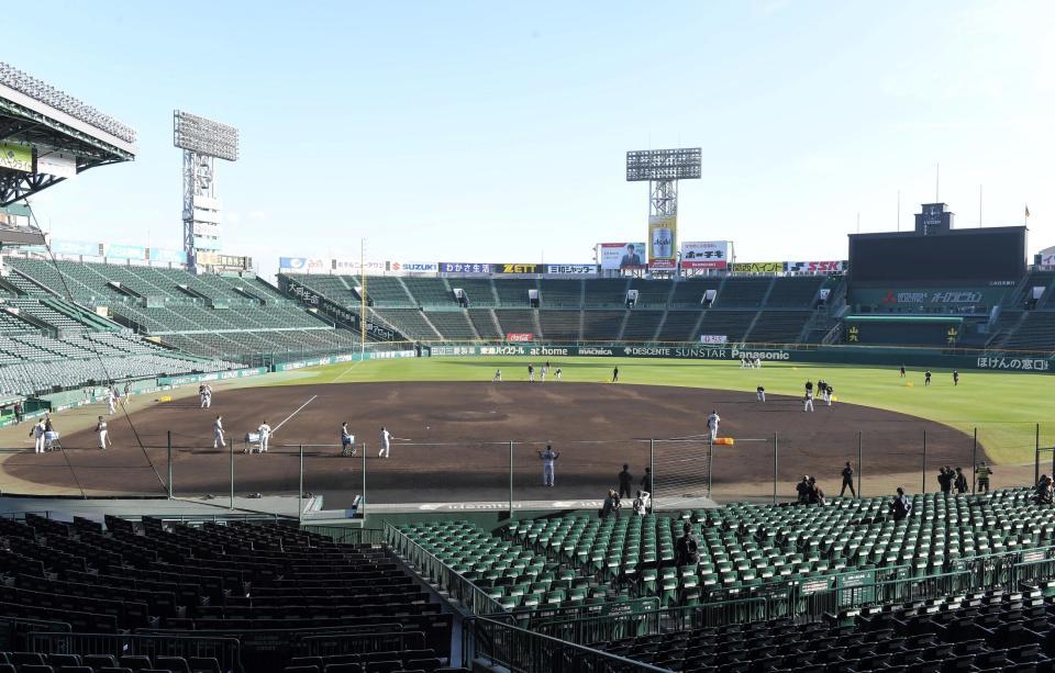 内野３か所、外野１か所でノックを受ける阪神ナイン＝甲子園（撮影・高部洋祐）