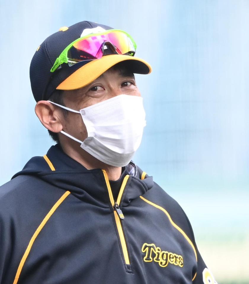 練習を見守る矢野監督