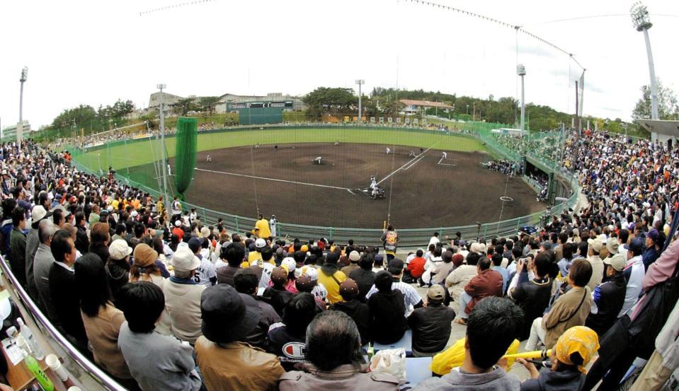 　毎年多くのファンが詰め掛ける沖縄・宜野座での阪神春季キャンプ