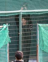 　ブルペン入りし、ワインドアップで投球練習する藤浪（代表撮影）