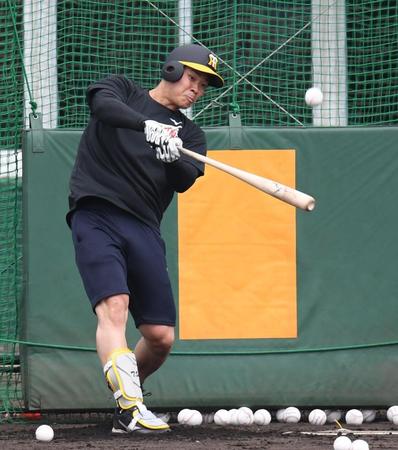 　フリー打撃で鋭い打球を飛ばす佐藤輝明（撮影・田中太一）
