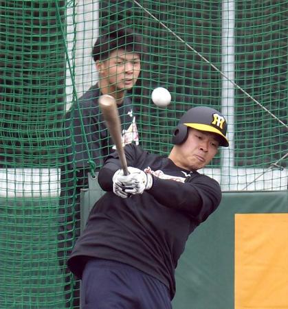 　佐藤輝（手前）の打撃を見る井上