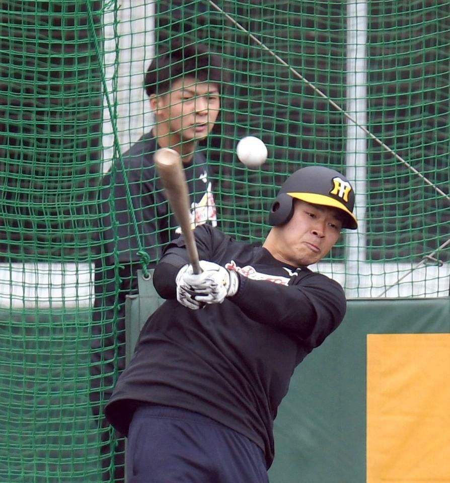 　佐藤輝（手前）の打撃を見る井上