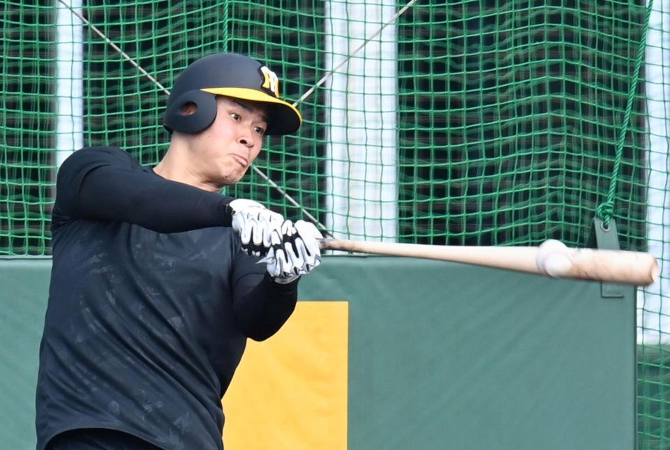 　フリー打撃に汗を流す佐藤輝