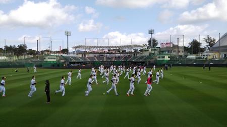 無観客のなか、アップする阪神ナイン＝宜野座
