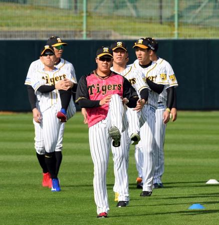 ピンクのユニホームを着てアップする阪神・大山＝宜野座（撮影・山口登）