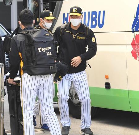 　球場入りする佐藤輝（撮影・飯室逸平）